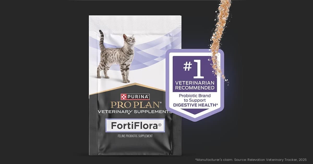 FortiFlora feline probiotic sachet